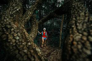 BIB: 
                            <button type="button" onclick="openModal(25675321)" class="btn btn-primary btn-sm float-right btn-popup" data-toggle="modal" data-target=".modal-high-quality">
                        <i class="fas fa-shopping-cart"></i> Add to Cart
                    </button>
                                            <button type="button" onclick="isThisMe(25675321, true)" class="btn btn-success btn-sm float-right btn-popup btn-isme hidden" data-toggle="tooltip" data-placement="bottom" title="นี่คือรูปของคุณใช่ไหม คลิกที่นี่เพื่อเอาเข้าอัลบั้ม">
                        <i class="fas fa-plus"></i> Add to album
                    </button>
                    <button type="button" onclick="isThisMe(25675321, false)" class="btn btn-warning btn-sm float-right btn-popup btn-isnotme hidden">
                        <i class="fas fa-ban"></i> Remove from album
                    </button>